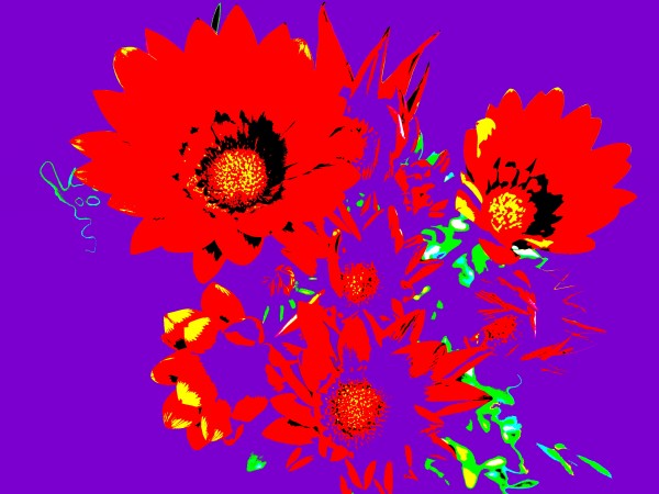Rainbow Flower - Purple by Lexa Harpell