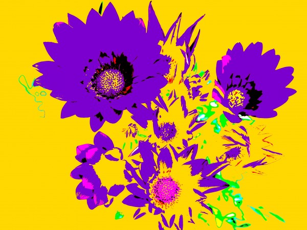 Rainbow Flower - Yellow Print