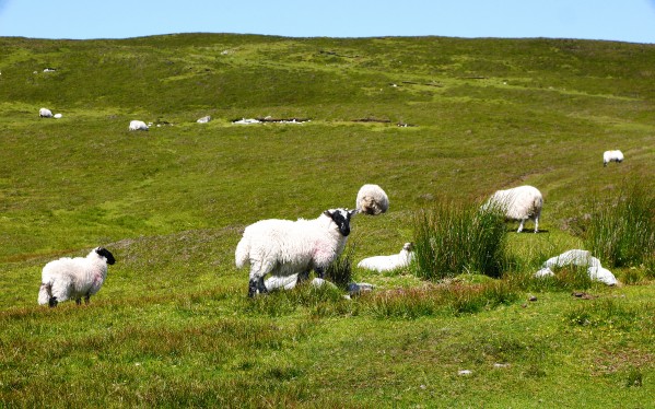 Remote Hills of Glencolmcille by Lexa Harpell