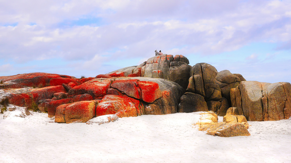 Enjoying the Moment - Bay of Fires by Lexa Harpell