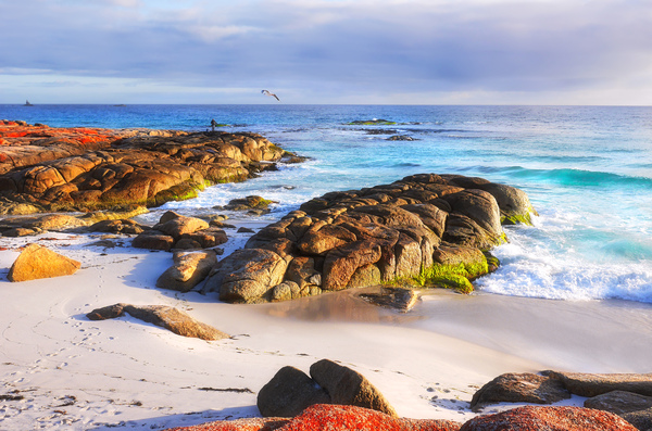 Morning Fishing - Bay of Fires by Lexa Harpell