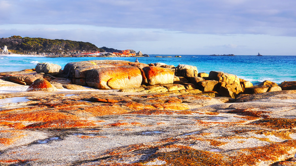 Bay of Fires Beach by Lexa Harpell