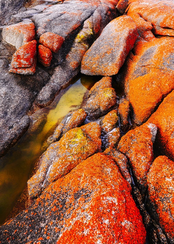 Australia Rocks - Abstract 40 by Lexa Harpell