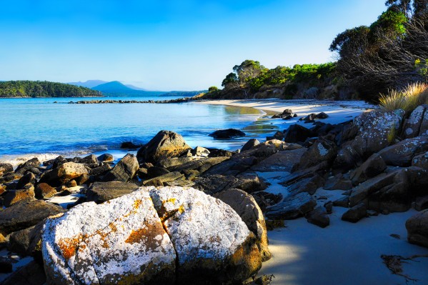 Morning Sun at Fishers Point by Lexa Harpell