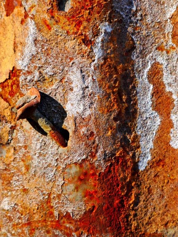 Corrugated Iron Series 4 by Lexa Harpell
