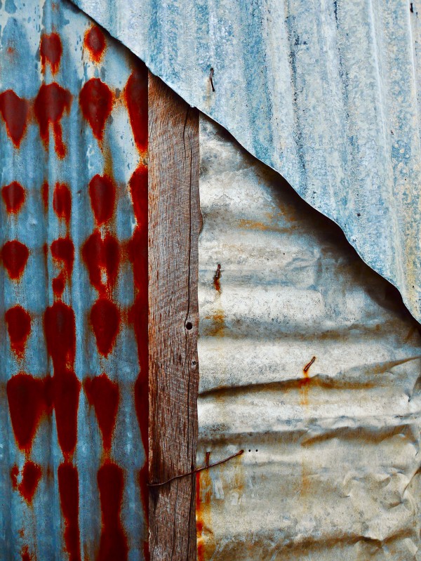 Corrugated Iron Series 10 by Lexa Harpell