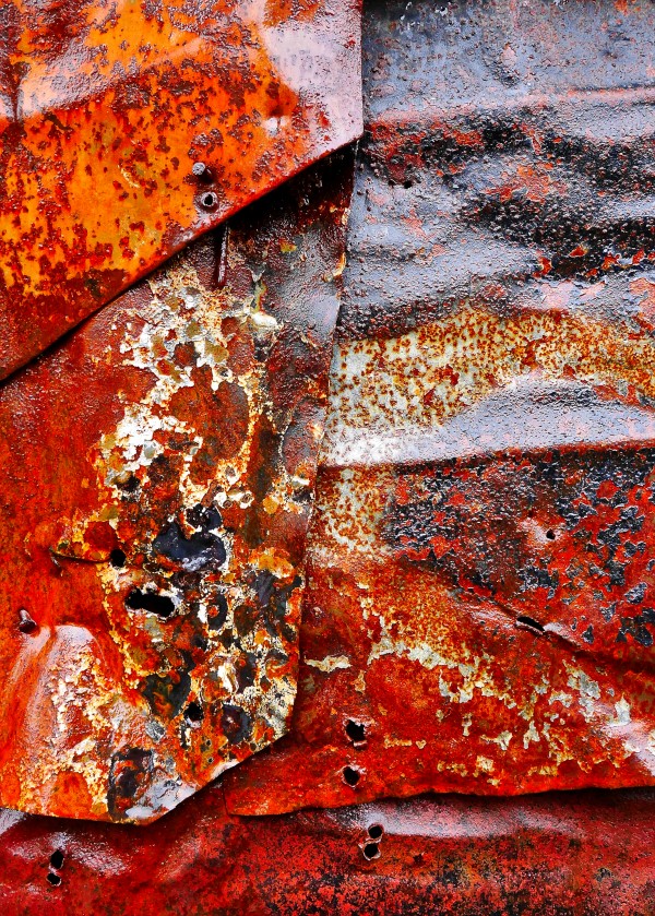 Corrugated Iron Series 21 by Lexa Harpell