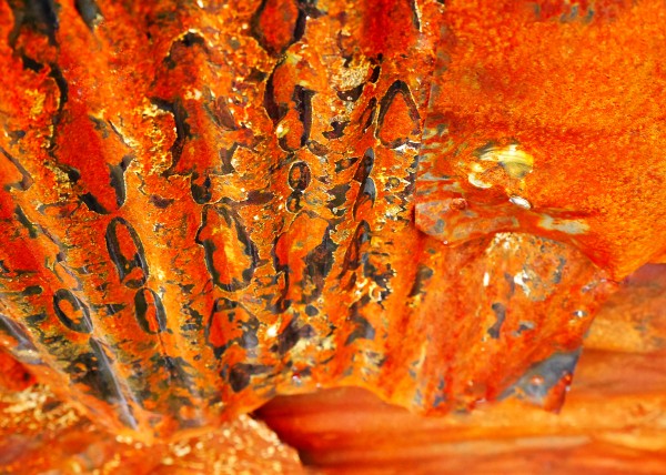 Corrugated Iron Series 6 by Lexa Harpell