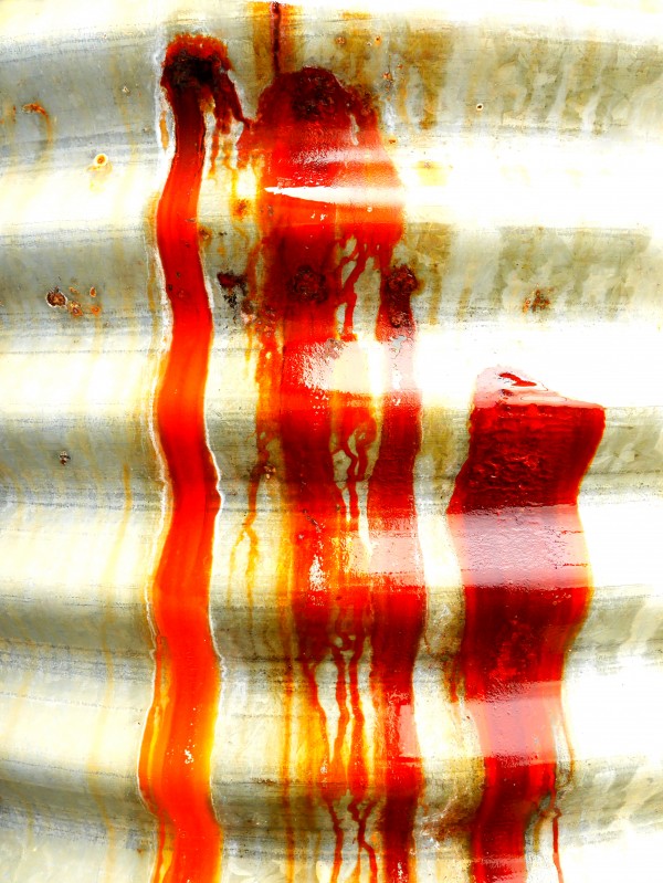 Corrugated Iron Series 1 by Lexa Harpell