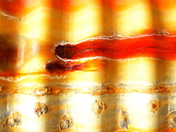 Corrugated Iron Series 3 by Lexa Harpell