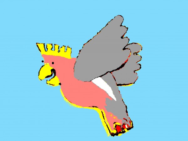 Laughing Galah - Blue by Lexa Harpell
