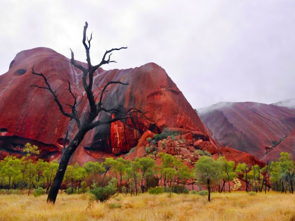 After the Rain - Uluru Australia by Lexa Harpell