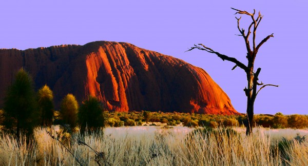 Sunrise on Uluru - Australia 2 by Lexa Harpell