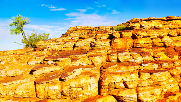 Rock Formations - Kings Canyon by Lexa Harpell