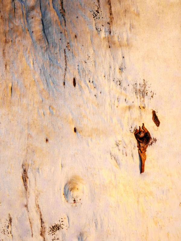 Ghost Gum Bark - 1 Print