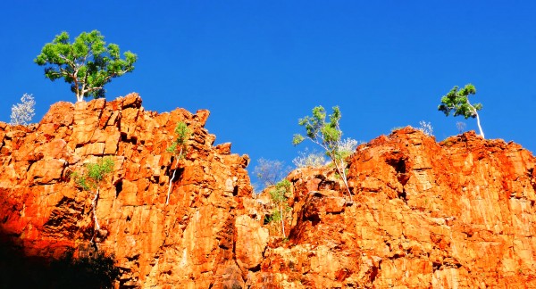 Skyline - Ormiston Gorge Print
