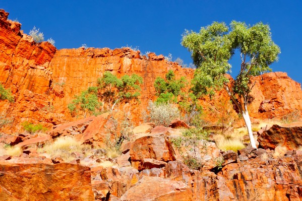 Ormiston Gorge Landscape by Lexa Harpell