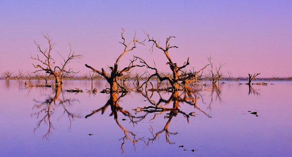 Twin Reflections - Pamamaroo Lake by Lexa Harpell