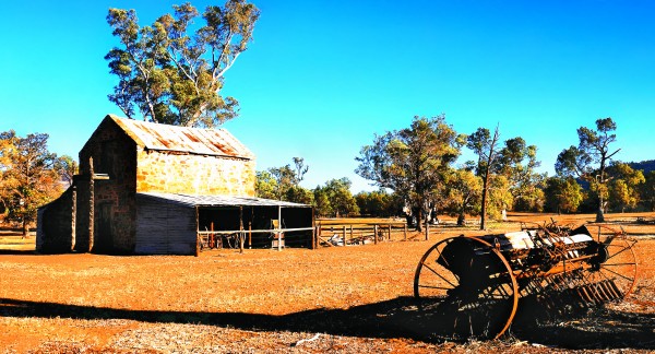 Old Wilpena Station 3 by Lexa Harpell