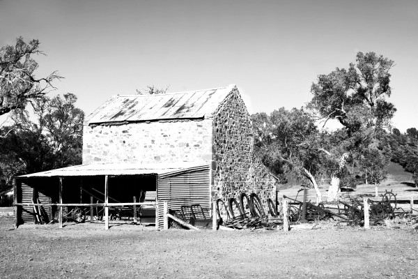 Old Wilpena Station 4 BW  by Lexa Harpell