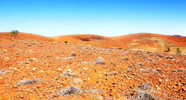 Rocky Landscape of the Flinders Ranges by Lexa Harpell