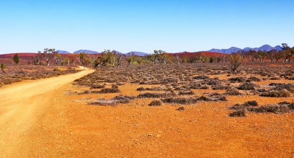 Track in the Outback 2 by Lexa Harpell