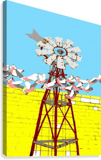 Windmill and Galahs Canvas Print