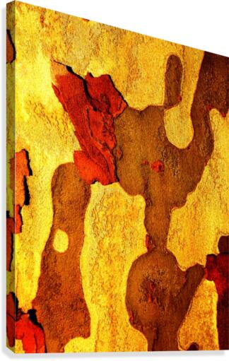Aussie Gum Tree Bark - 21 Canvas Print