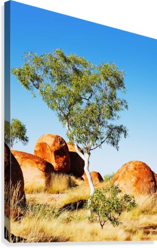 Landscape - Devils Marbles Canvas Print