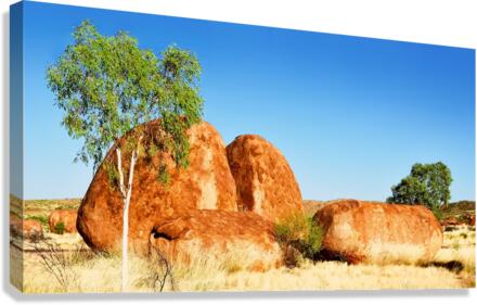 Lone Tree - Devils Marbles Canvas Print