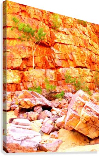 Surviving - Ormiston Gorge Canvas Print