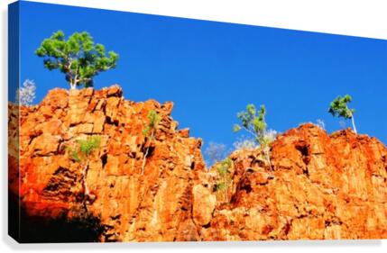 Skyline - Ormiston Gorge Canvas Print
