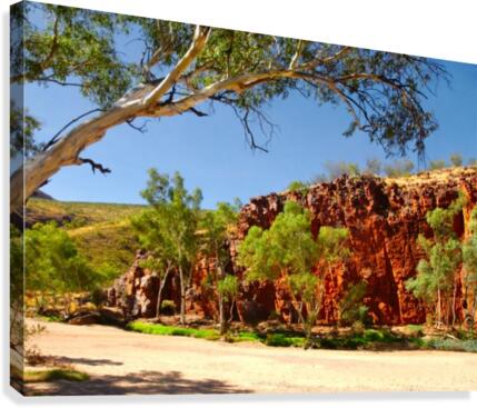 Dry River - Ormiston Gorge Canvas Print