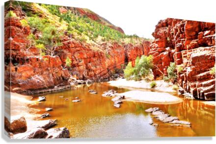 Waterhole - Ormiston Gorge Canvas Print