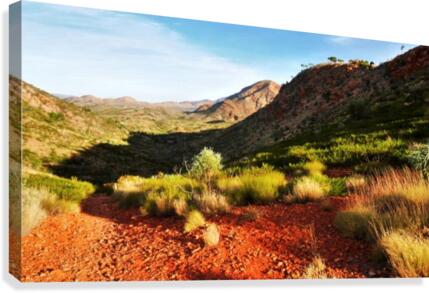 Pound Track - Ormiston Gorge Canvas Print