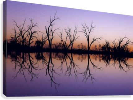 Sunset Reflection on Pamamaroo Canvas Print