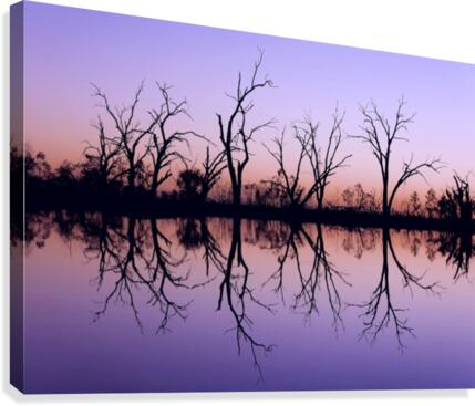 Tree Skeleton Silhouettes Canvas Print