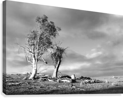 Storm Breaking - BW Canvas Print
