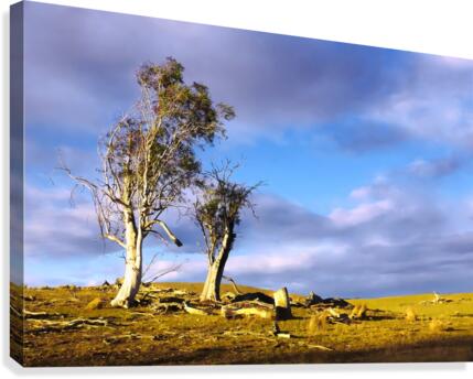 Storm Breaking Canvas Print
