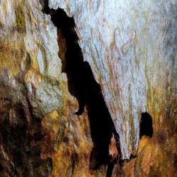 Aussie Gum Tree Bark - 8
