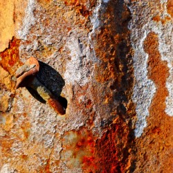 Corrugated Iron Series 4