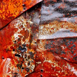 Corrugated Iron Series 21