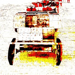 Bullock Team - White