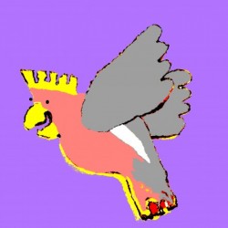 Laughing Galah - Purple