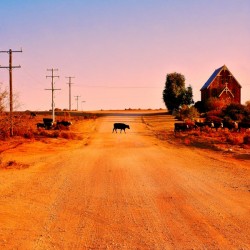 Quirky Sights of the Outback 1