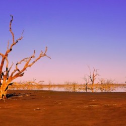 Sunrise on Pamamaroo Lake