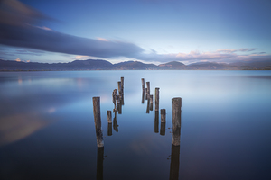 Poles in the lake remains of a pier. Lake Massaciuccoli