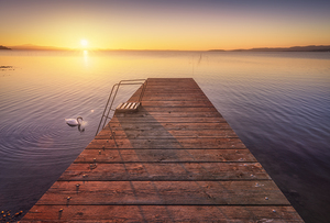 Pier on Lake Trasimeno and a swan at sunset. Italy