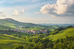 Langhe vineyards at sunset Barolo and La Morra
