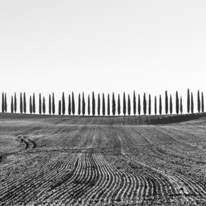 Frozen morning in Val d Orcia